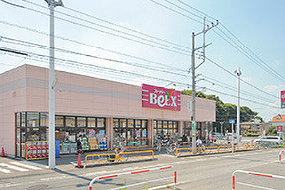 ベルクス柏つくしが丘店（1090m）