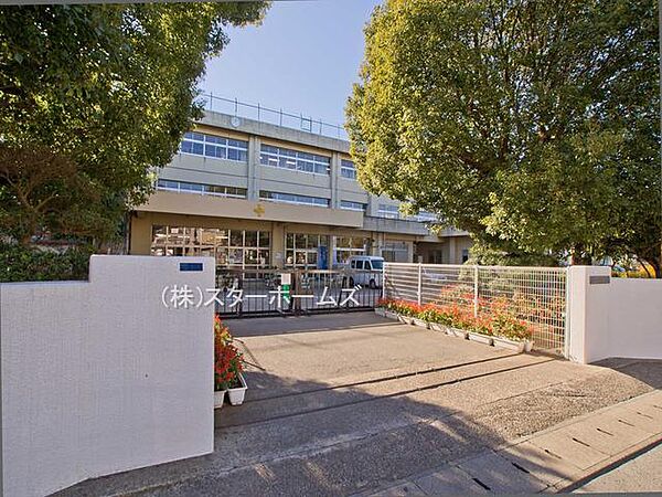 柏市立酒井根東小学校（50m）