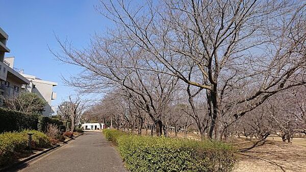 画像27:【公園】絹の台桜公園まで660ｍ