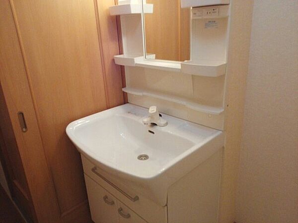 画像12:広い洗面スペース