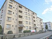 津田ハイツ 3階 築36年6ヶ月の賃貸物件