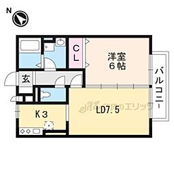 コージーコート 205