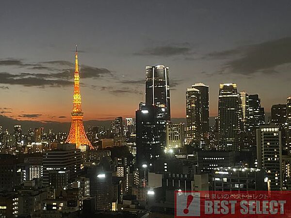 ＊リビングと寝室からは眼下に広がる高層ビル群と東京タワーを望めます＊