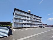 サルヴァトーレ本城２ 2階 築45年10ヶ月の賃貸物件