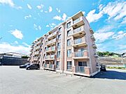 ダイヤモンドライフ 4階 築19年11ヶ月の賃貸物件