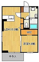 D-room友田 1階/-
