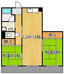 ディアライフ皇后崎 4階/-