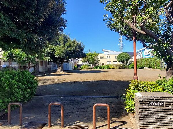河内緑地(約25m)