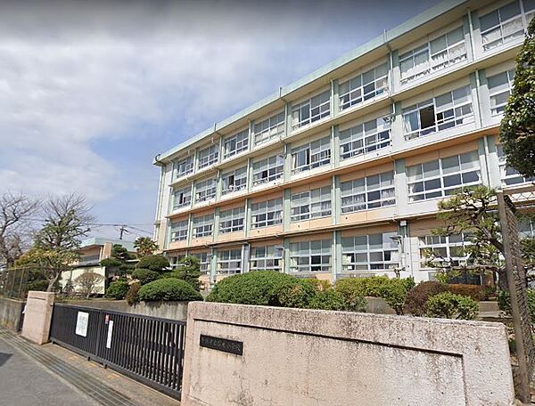 平塚市立松延小学校(約590m)
