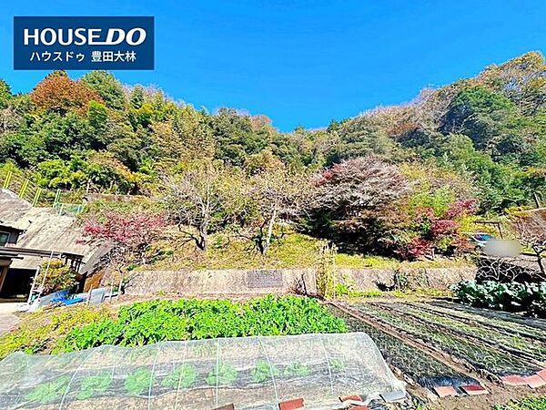 外観：323000475057