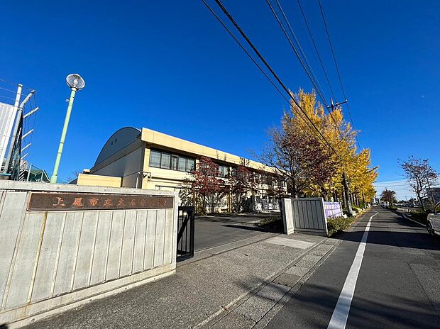 上尾市立大石中学校　徒歩13分　銀杏並木が映える外環。