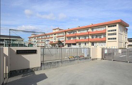 塚沢小（徒歩11分）