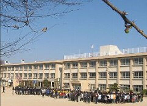 城南中（徒歩3分）