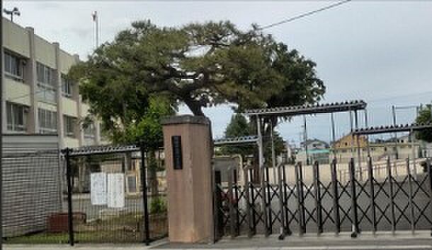 中川小（徒歩11分）