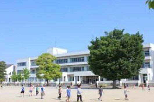 芝根小（徒歩17分）