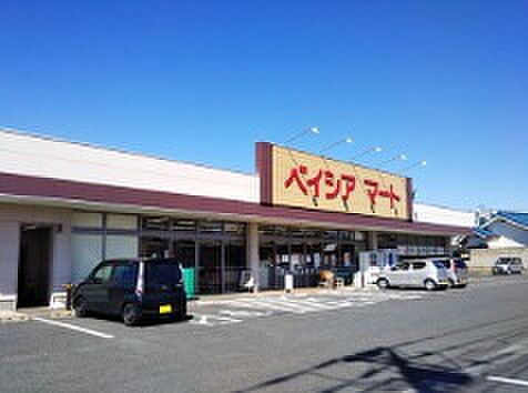 ベイシアマート伊勢崎国定店（徒歩17分）