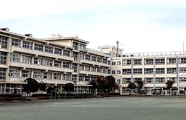 第三中（徒歩8分）