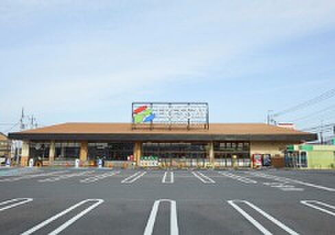 フレッセイ倉賀野西店（徒歩14分）