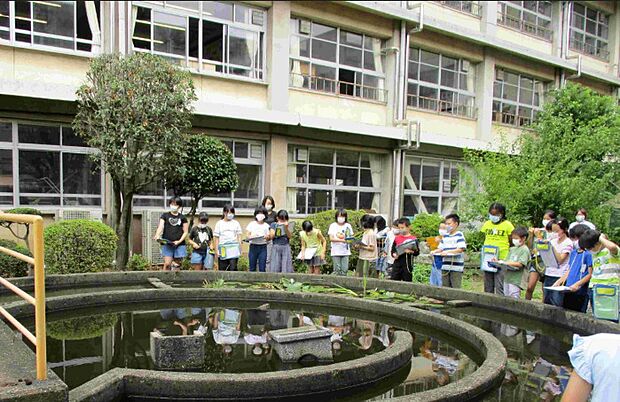 六郷小（徒歩14分）