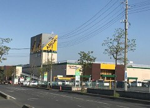 アピタ高崎店（徒歩10分）