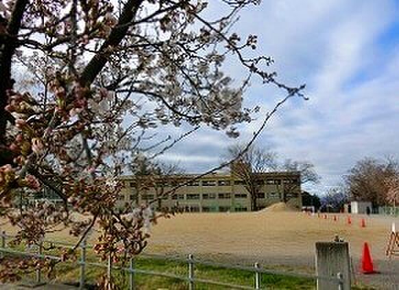 城山小（徒歩5分）