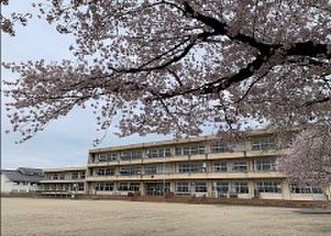 木崎中（徒歩30分）