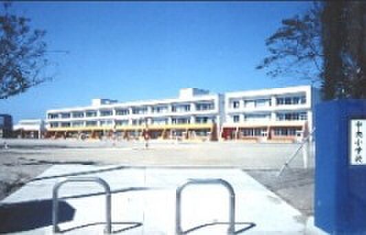 中央小(徒歩17分)