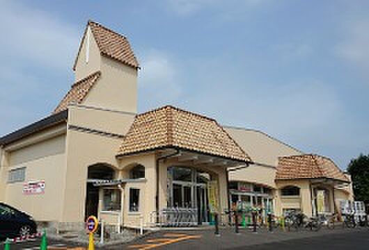 とりせん朝日町店(徒歩9分)