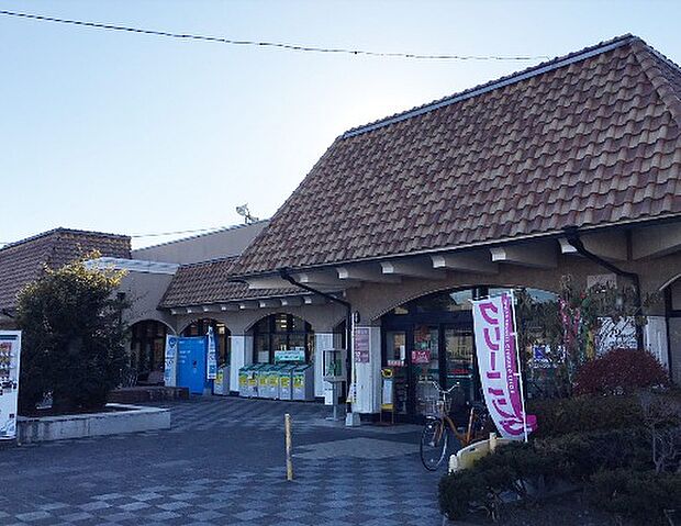 とりせん新前橋店(徒歩9分)