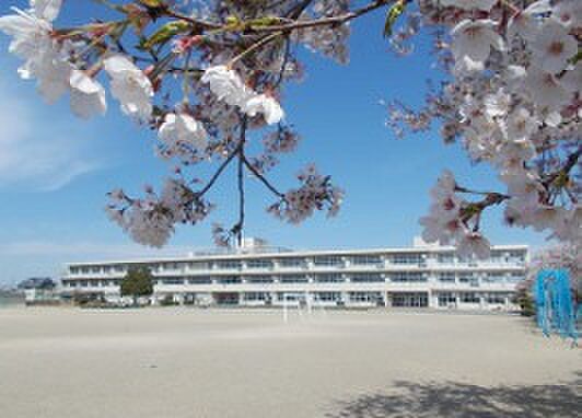 あずま南小(徒歩9分)