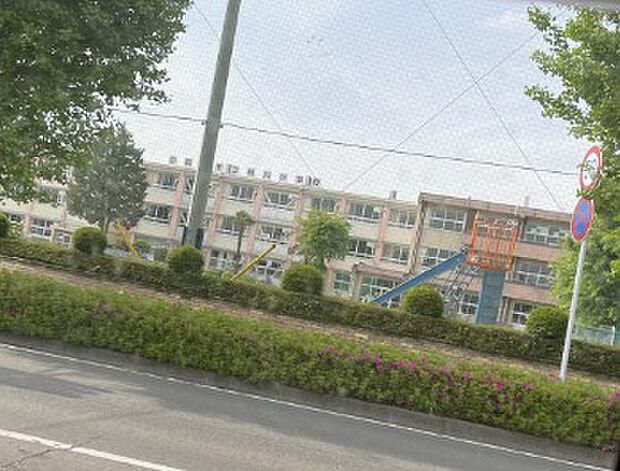 桃川小(徒歩24分)