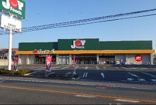 ジョイフーズ高崎剣崎店(徒歩17分)