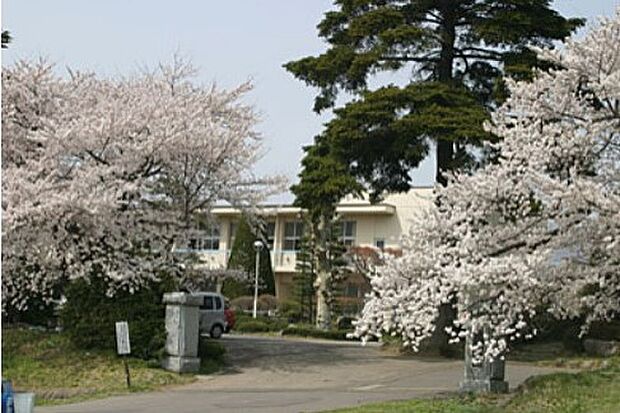 滋野小（徒歩20分）