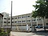 周辺：中学校「江南市立古知野中学校まで1383m」