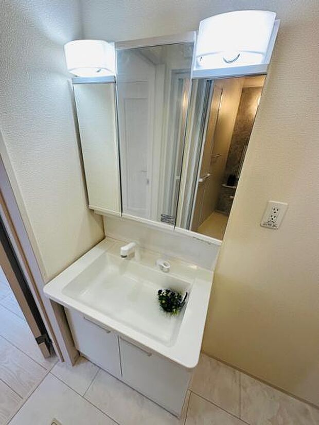 B号棟 裏側に収納棚もある、3面鏡使用の洗面台です。