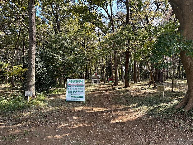 横戸市民の森まで徒歩3分