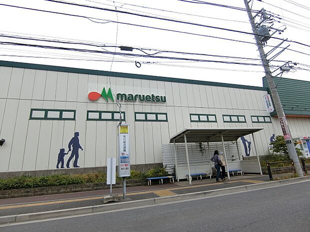 スーパー マルエツ 東菅野店まで徒歩12分