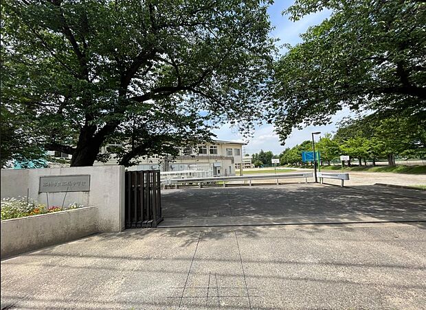 船橋市立船橋中学校まで徒歩13分 船取線へ通じる夏見小室線という道路沿いにある、創立70周年を超えた中学校。坂を利用することにはなりますが、毎日が良い運動。自然と鍛えられます。