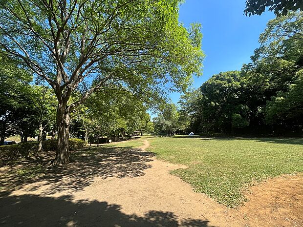 習志野市香澄公園まで徒歩3分