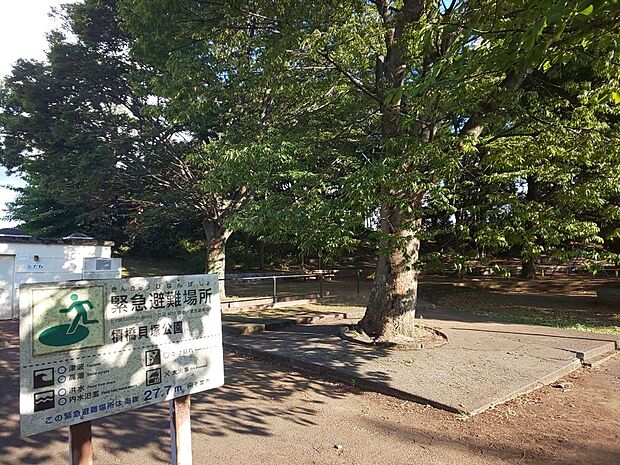犢橋貝塚公園まで徒歩7分