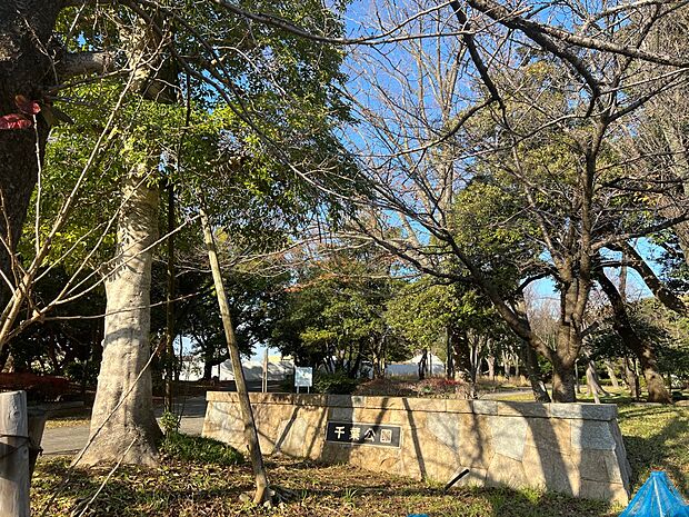 千葉公園まで徒歩11分