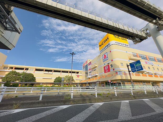 調剤薬局 マツモトキヨシ 千城台ショッピングセンター店まで徒歩6分