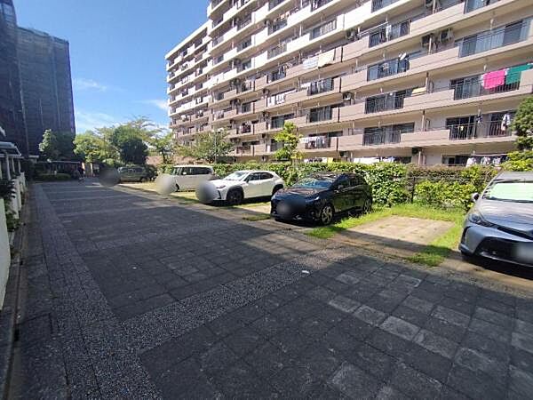 駐車場の様子です。建物を出てすぐのところにあります。