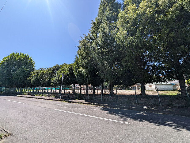 松戸市立柿ノ木台小学校 徒歩7分