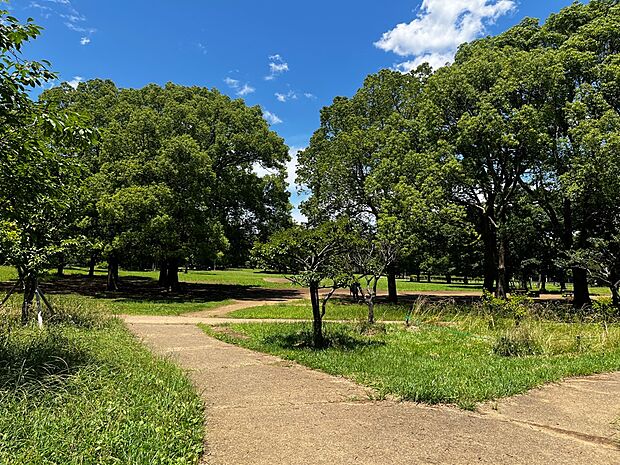 行田公園まで徒歩11分