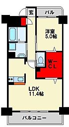 スタディハイツV 6階