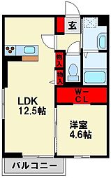 D-room友田 1LDKの間取図画像