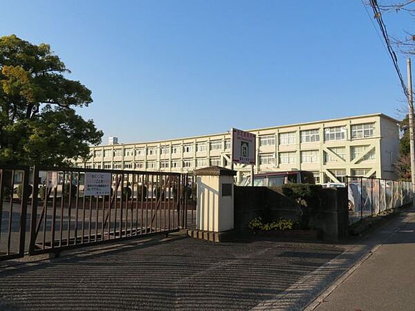 鷹来小学校 600m