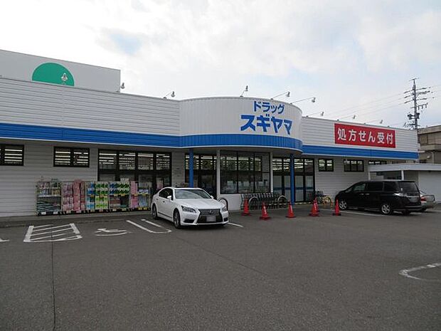 ドラッグスギヤマ印場店 790m