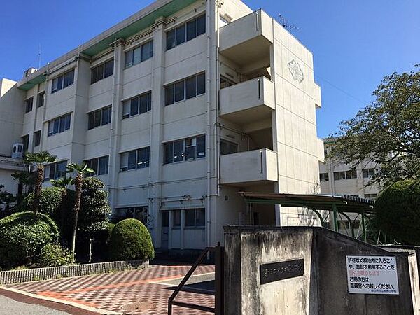 柏原小学校 240m